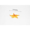 Starfish, Orange, Realistic Plastic Star Fish Model, Toy, Kids Educational Gift, Animal, Figure     1 Inches     CWG142 BB28 - 2 of 4