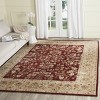 Total Performance TLP721 Hand Hooked Area Rug - Safavieh - 2 of 4