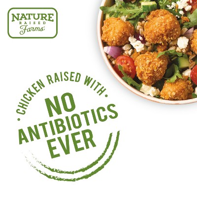 Nature Raised Farms Lightly Breaded Boneless Chicken Bite - 22oz
