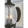 Acclaim Lighting Lanai 2 - Light Wall Light in  Black Coral - 4 of 4