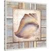 Amanti Art Beach Shell II by Elizabeth Medley Canvas Wall Art Print Framed 22 x 22-in. - 3 of 4