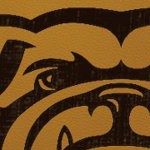 georgia bulldogs uga