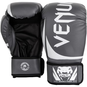 Venum Challenger 2.0 Hook and Loop Training Boxing Gloves - 1 of 4