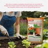 Michigan Peat Company BACCTO Container Mix, Indoor Outdoor Blend with Organic Peat, Starter & Nutrients for 6 Inch or Larger Planters, 1.5 Cubic Feet - 4 of 4