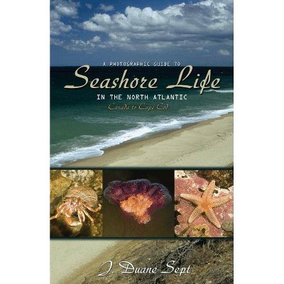 A Photographic Guide to Seashore Life in the North Atlantic - by  J Duane Sept (Paperback)