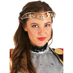 HalloweenCostumes.com  Women Women's Antique Gold Leaf Circlet, Orange/Orange - 1 of 1