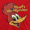 Boys’ Woody Woodpecker Retro Logo Hooded Sweatshirt - 2 of 4