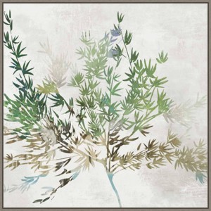 30" x 30" Olive Branch by Asia Jensen Framed Canvas Wall Art Print - Amanti Art - 1 of 4