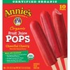 Annie's Organic Frozen Fruit Juice Pops Cheerful Cherry - 10ct - image 3 of 3