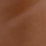 mocha