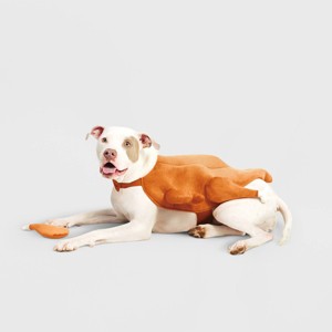 Turkey Full Body Halloween Dog and Cat Costume with Turkey Leg Toy - Boots & Barkley™ - 1 of 4