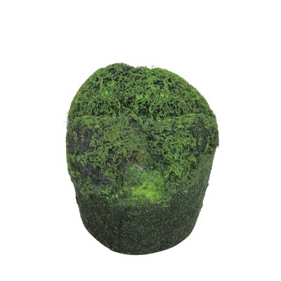 Allstate Floral 3.5" Moss Soil Indoor Planter - Green/Black