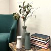 Sullivans Artificial Birch Eucalyptus Pod Stem 28" Green - 2 of 3