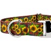 Country Brook Petz Premium Dog Collar - Country and Western Collection - 4 of 4