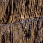 Rustic
