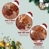 QuestaPack Small Dog Toys- 15 Pack Grocery Bag Fruits and Veggies Dog Squeaky Toys - 3 of 3