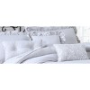 Davina Enzyme Washed Ruffle 6pc Comforter Set - Geneva Home Fashion - 2 of 3