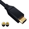 SANOXY Cables and Adapters; 10ft USB 3.1 Type C Male to HDMI (4K @ 60Hz) Male Cable, Black - 3 of 4