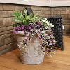 Sunnydaze Indoor/Outdoor Patio, Garden, or Porch Weather-Resistant Double-Walled Arabella Flower Pot Planter - 20" - 2 of 4