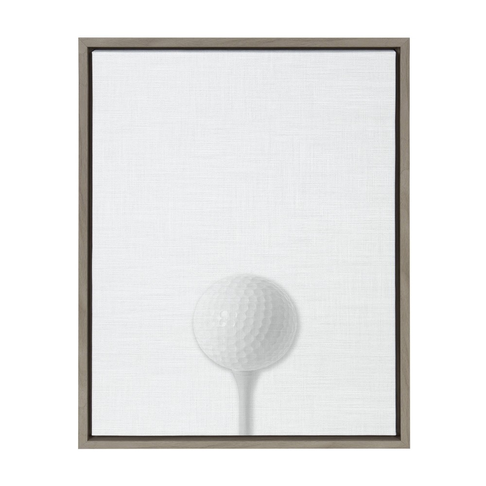 Photos - Other Decoration 18" x 24" Sylvie Golf Ball Portrait Framed Canvas Gray - DesignOvation