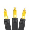 Novelty Lights 50 Light Incandescent Mini Christmas String Lights Black Wire 11 Feet - 3 of 4