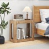 Costway 1/2 PCS 2-Tier End Table with Storage Shelf Hollow-out Design for Living Room - 4 of 4