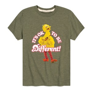 Boys' - Sesame Street - Its Ok To Be Different Short Sleeve Graphic T-Shirt - 1 of 4