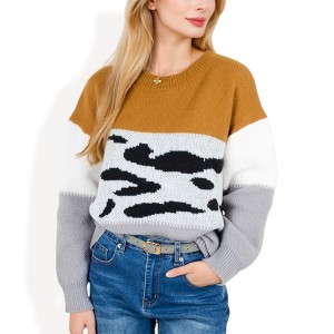 Long Sleeve Printed Colorblock Sweater
