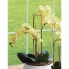 Plum & Post Phalaenopsis Orchid Artificial Plant Drop-In - 3 of 3