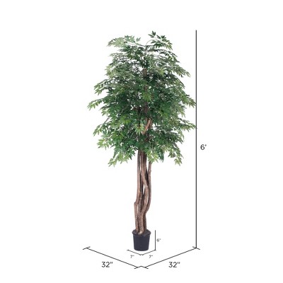 Lifelike Silk Ming Aralia 6' Outdoor Potted Tree with Realistic Trunks