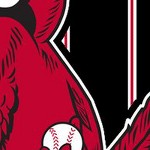 st louis cardinals 1950s