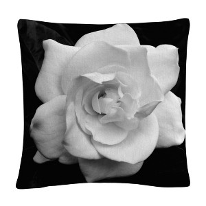 Kurt Shaffer - 16 x 16 Decorative Throw Pillow by Trademark Fine Art - 1 of 4