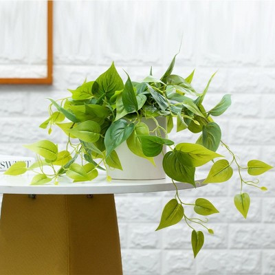 Potted Green Ivy in White Ceramic Tabletop Planter
