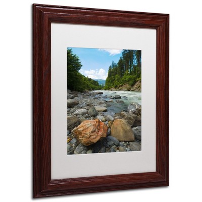 Trademark Fine Art -Philippe Sainte-Laudy 'Isolated' Matted Framed Art