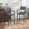 Coolbibila-Set Of 2 Barstool, Polyethylene Rattan Bar Chair Stool, Modern Bar Chair, Bar Chair With Back, Bar Chair High For Outdoor - 2 of 4