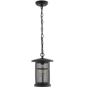 Osprey 8" Outdoor Pendant - PLT4030 - Black - Safavieh - 1 of 4