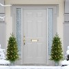 Puleo Set of 2 3.5' Artificial Battery-Operated Pre-Lit Potted Oklahoma Fir Christmas Trees - 2 of 4