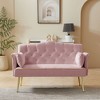 NicBex Luxury Loveseat,Modern Small Velvet Loveseat Sofa with Tufted Back & Metal Legs,2-Seater Couch for Living Room - 2 of 4