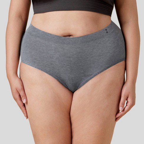 Thinx For All Women's Plus Size Moderate Absorbency High-waist Brief Period  Underwear - Gray 4x : Target