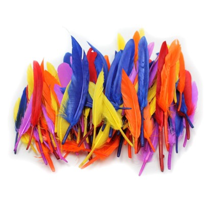 Charles Leonard Duck Quills Feathers, 14 Grams (Pack of 6)