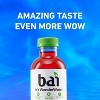 Bai Flavors Variety Pack, Antioxidant Infused Water Beverage, with Vitamin C and No Artificial Sweeteners, 18 fl oz bottles, 12 pack - 3 of 4