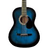 Rogue Starter Acoustic Guitar - image 4 of 4