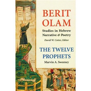 Berit Olam: The Twelve Prophets - by  Marvin A Sweeney (Hardcover) - 1 of 1