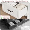 Farmhouse 6-Drawer Double Dresser, Dresser for Bedroom, Chest of Drawers with 6 Storage Drawers, 47.2" W × 15.8" D × 32.1" H - 4 of 4
