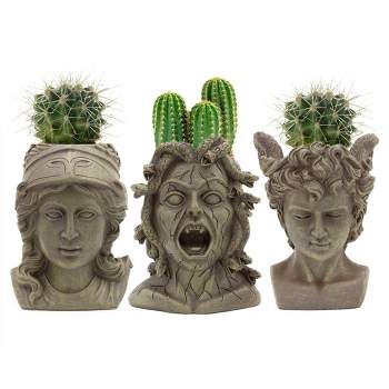 Darware Mini Resin Medusa / Athena / Perseus Planter, 3pc Set; Garden Decor Statue Flower Pot