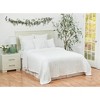 C&F Home Bamboo Throw Pillow - 3 of 4