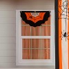 Spider Web Large Bunting 61"x32" - 3 of 4