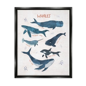 Stupell Industries Nautical Diagram Whale Narwhal Types Bubbles Illustration - 1 of 4