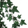 Floral Home 38" English Ivy Bush with 701 Leaves and 18 Stems - 12-Piece - 2 of 4