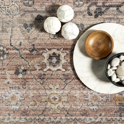 Sorsha Rust Persian Traditional Fringe 4' x 6' Area Rug